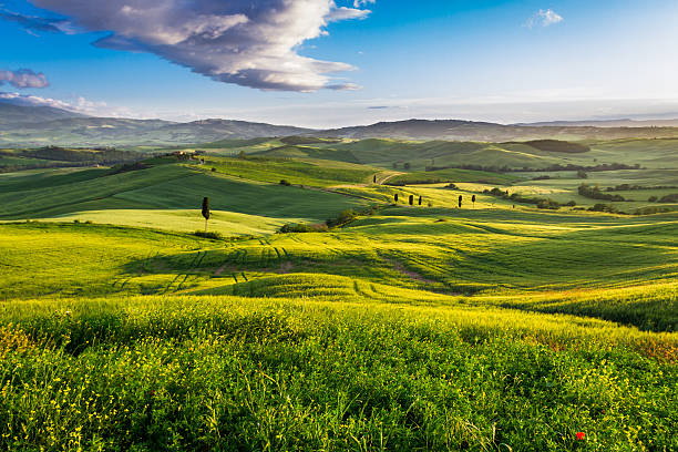 istock Green valley at sunset in Tuscany 476477657