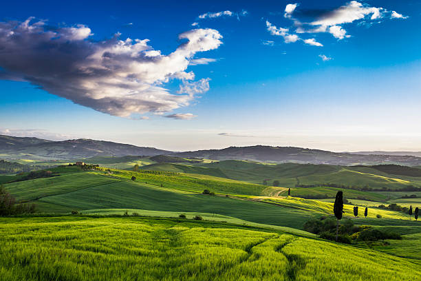istock Green valley at sunset in Tuscany 476479651