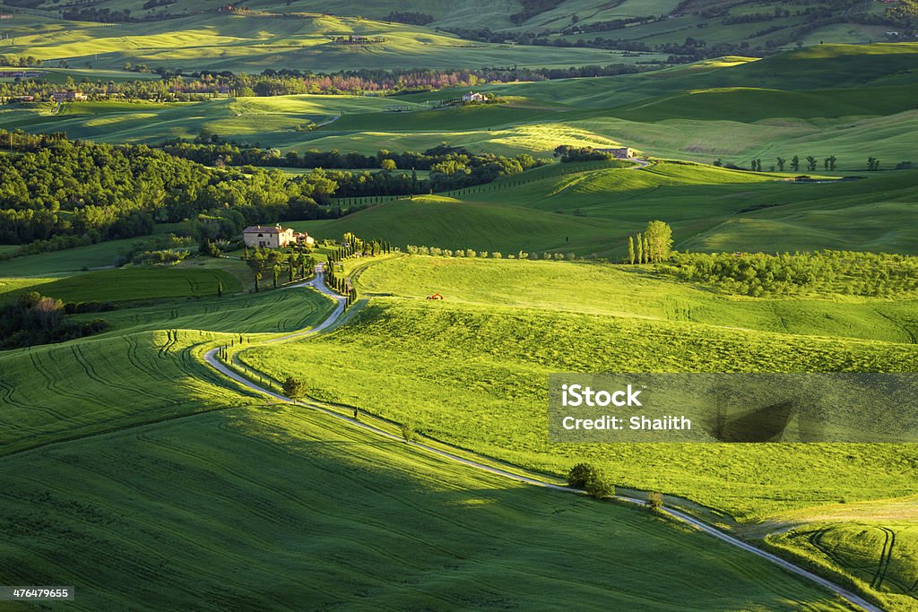 해질녘까지 그린 밸리 (Tuscany - 로열티 프리 0명 스톡 사진
