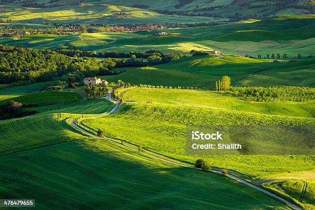 해질녘까지 그린 밸리 Tuscany 0명에 대한 스톡 사진 및 기타 이미지 - 0명, 거리, 경작지