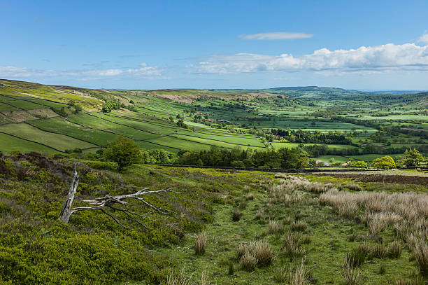 istock North York Moors in spring, Glaisdale, Yorkshire, UK. 476481368