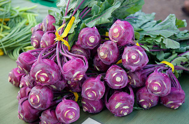 kohlrabi bunches - kohlrabi stock-fotos und bilder