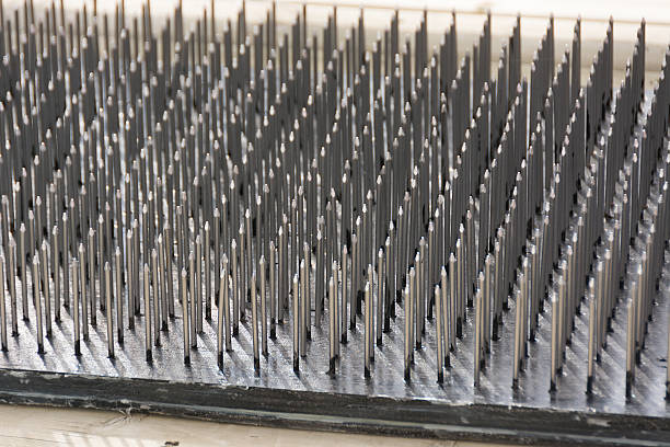 Bed of nails showing width. Horizontal outdoor shot of be do nails. bed of nails stock pictures, royalty-free photos & images