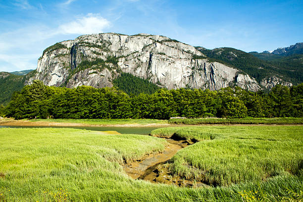 view of stawamus chief provincial park and squamish river estuary
