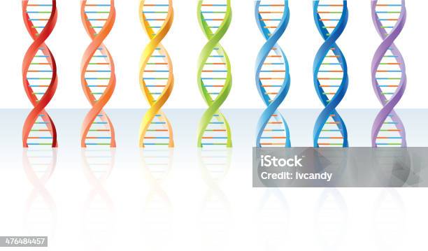 Dnasegmente Stock Vektor Art und mehr Bilder von DNA - DNA, Bunt - Farbton, Gelb