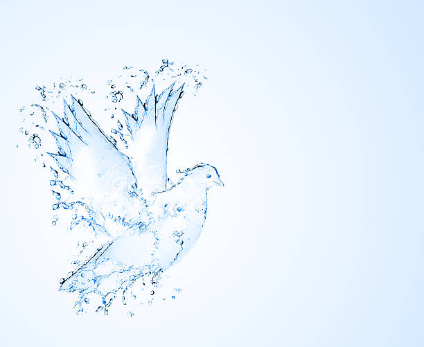 istock dove made out of water splashes 476486317