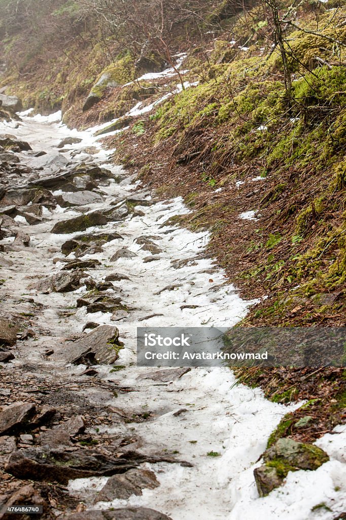 Great Smoky River Landscape at the Great Smoky National Park, Tennessee. Vertical image shows of the rapid, flowing, river water. Lush forest foliage lines the river. 2015 Stock Photo