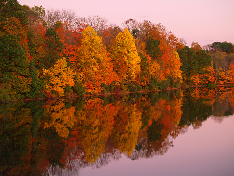 Vivid Autumn foliage is reflected in a still lake in the golden hour, with periwinkle sky. Image created at Nockamixon State Park in Quakertown, Bucks County, Pennsylvania. \