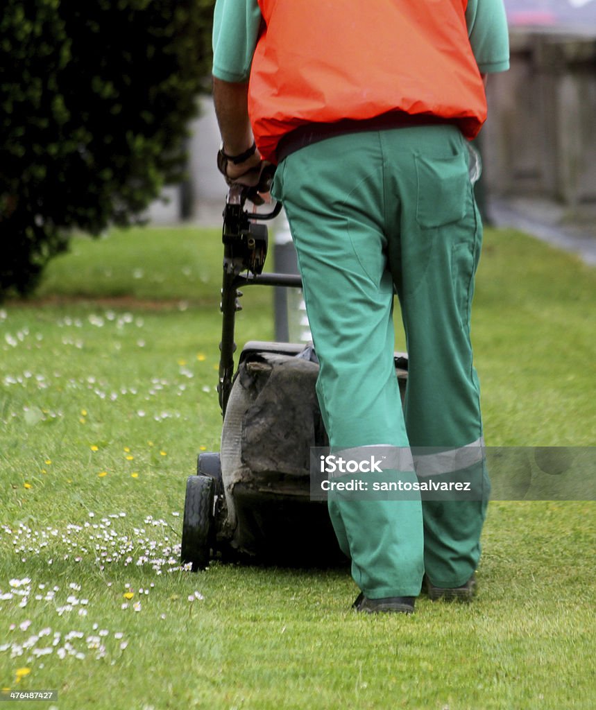 man driving lawn mower Adult Stock Photo