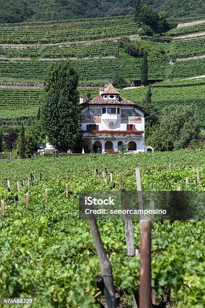 Photo libre de droit de Chambre Guest House Dans Les Vignobles banque d'images et plus d'images libres de droit de Agriculture - Agriculture, Alcool, Architecture