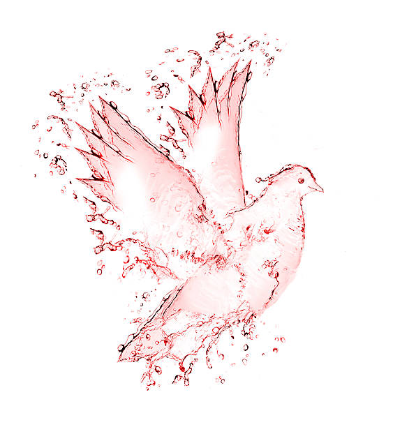 istock dove made out of wine splashes 476488971