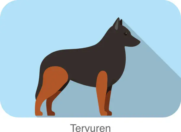 Vector illustration of Tervuren, dog standing flat icon design