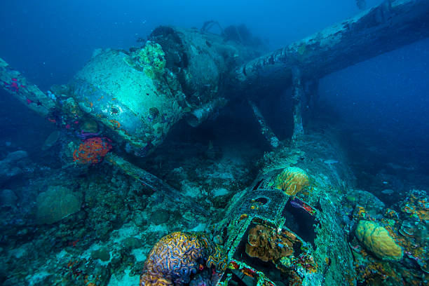 istock II World war Seaplane wreck 476491486