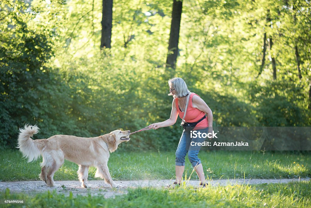 Fun with toys Cute puppy having fun. Dog Stock Photo