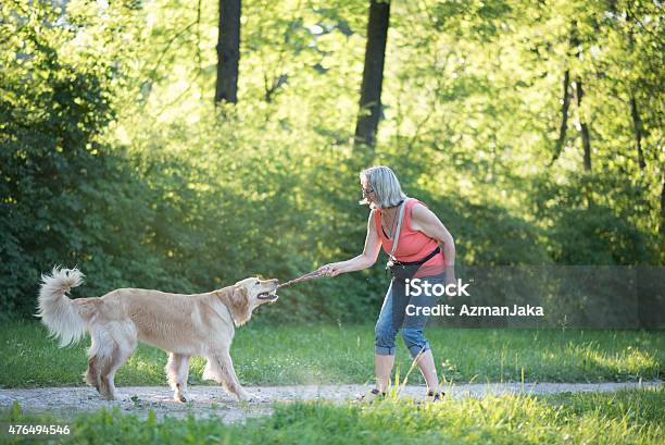 Fun With Toys Stock Photo - Download Image Now - Dog, Owner, Pet Owner