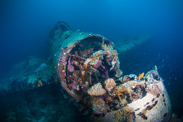istock II World war Seaplane wreck 476495566