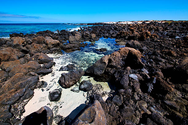 istock water  in lanzarote  isle foam rock spain lands 476496509
