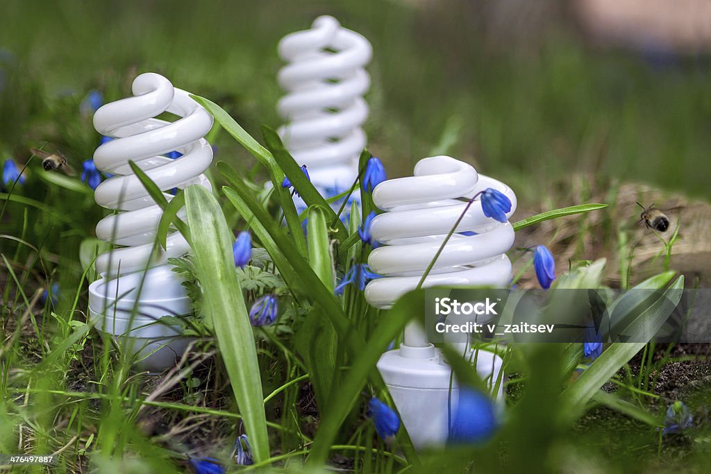 Energy-saving luminárias entre flores da primavera - Foto de stock de Abelha royalty-free