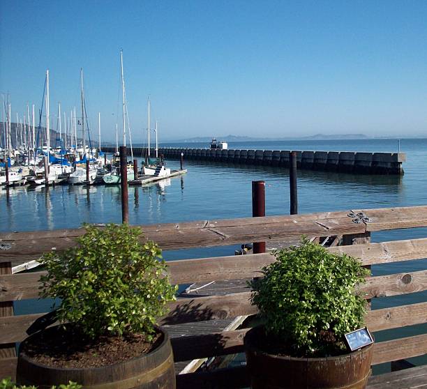 istock Marina In San Francisco 476498396