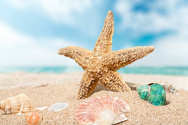 istock Travel, caribbean, beach 476499046