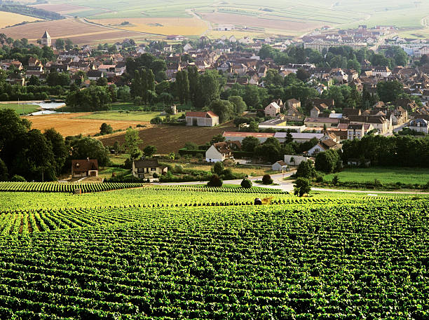 chablis chablis village and vineyards burgundy france burgundy france stock pictures, royalty-free photos & images