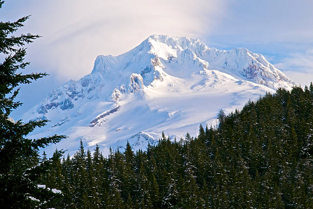 Summit of Mt Hood located in Northwest Oregon. Has a nice coating of snow and is framed with clouds and trees. Edited in Photoshop.