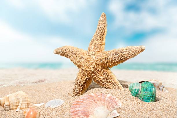 istock Travel, caribbean, beach 476502942
