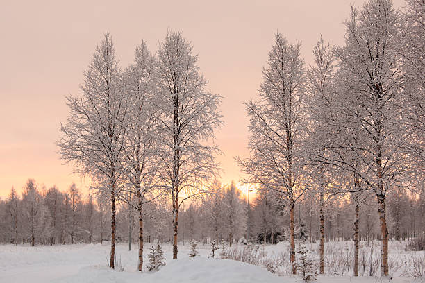 istock Winter landscape in Finland 476503169