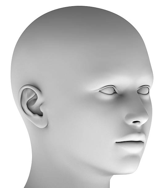 istock 3d head isolated on white background hires ray traced 476505330
