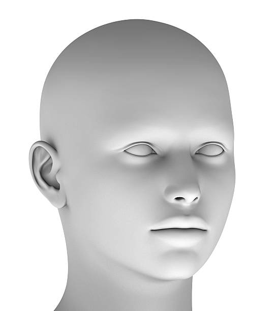 istock 3d head isolated on white background hires ray traced 476505334