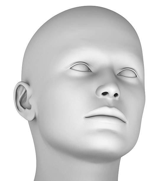 istock 3d head isolated on white background hires ray traced 476505338