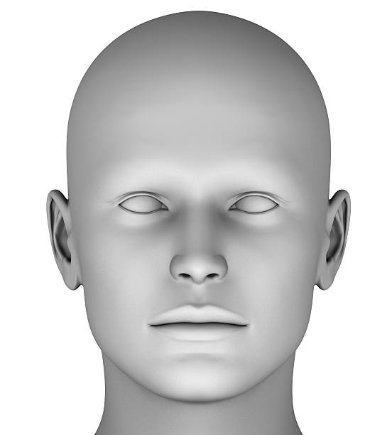 istock 3d head isolated on white background hires ray traced 476505340