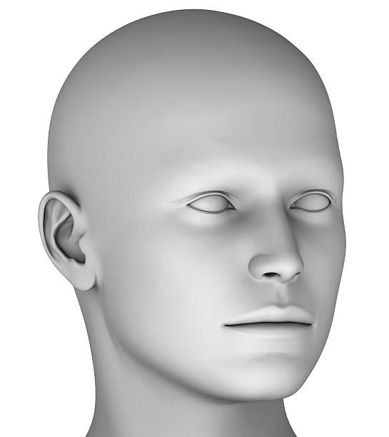 istock 3d head isolated on white background hires ray traced 476505342