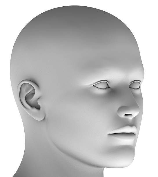 istock 3d head isolated on white background hires ray traced 476505346