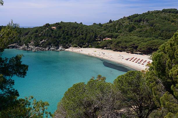 istock Fetovaia-Elba island 476505426