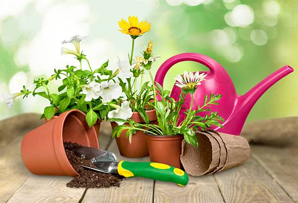 istock Gardening Equipment, Flower Pot, Flower 476506074