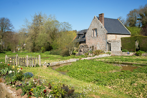 Watercress culture field and old water mill, Veules des Roses, Normandy, France
