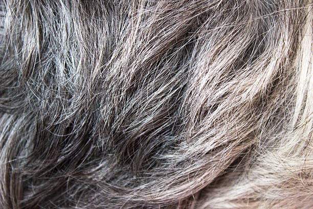 istock Full frame image of senior woman's wavy,silvery,grey hair 476506622