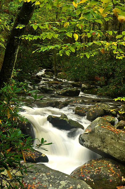 垂れ下がるウォーターフォールシーズンの smokies ます。 - waterfall great smoky mountains great smoky mountains national park tennessee ストックフォトと画像