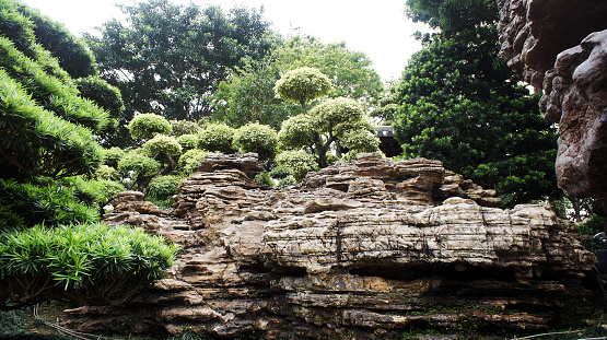 Chinese Garden Cliff 