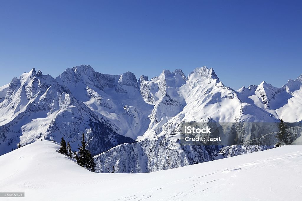 Heliskiing nel Monashees Columbia Britannica - Foto stock royalty-free di Albero