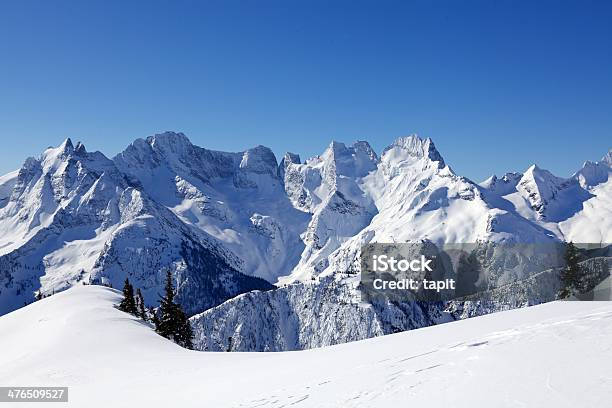 Heliskiing Nel Monashees Columbia Britannica - Fotografie stock e altre immagini di Albero - Albero, Ambientazione esterna, Attività