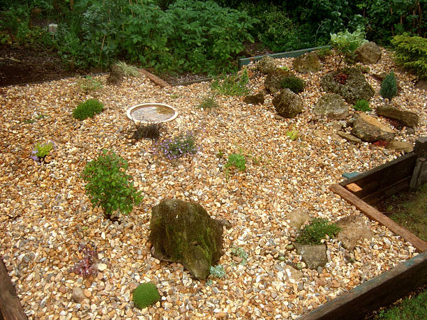istock Image of raised bed / scree garden with rocks, Alpine plants 476516152