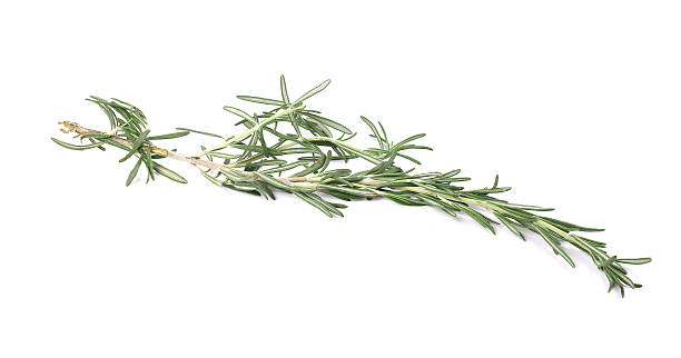 istock Sprig of rosemary 476517557