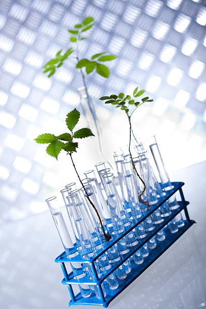 istock Chemistry equipment, plants laboratory experimental 476519759
