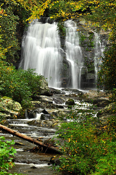 istock Vertical-fall colors surround a waterfall in the Smokies. 476523056