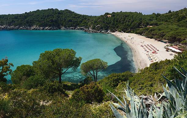 istock Fetovaia-Elba island 476523798