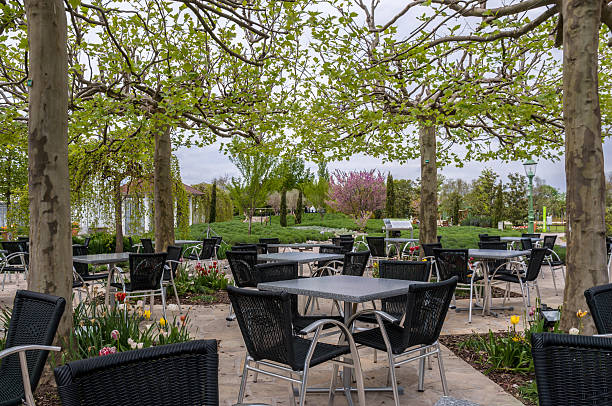 istock Hirschstetten Botanical Gardens, Vienna 476523888