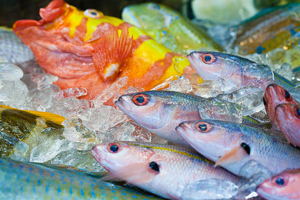 Fresh colorful fish at market, Okinawa, Japan Freshly caught Japanese tropical fish displayed at a fish market, Okinawa, Japan kyushu photos stock pictures, royalty-free photos & images