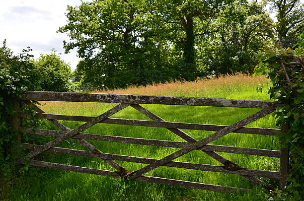 istock Five bar wood farm gate in rural England. 476528956